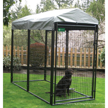 Black Metal Powder-Revestido Cage Cage Grande Qualidade Dog Crate Atacado